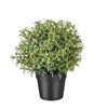 Kunstplant inclusief aluminium pot. 25 cm hoog.